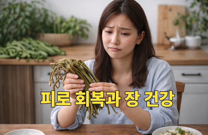 고사리 효능 손질 전 고민