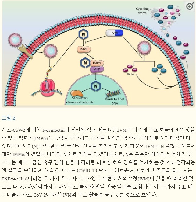 바이러스의 복제를 막는 작용