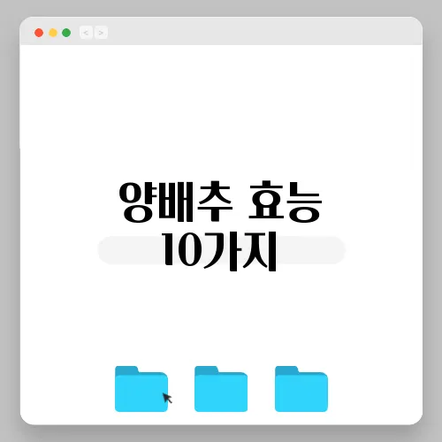 양배추 효능 10가지, 부작용