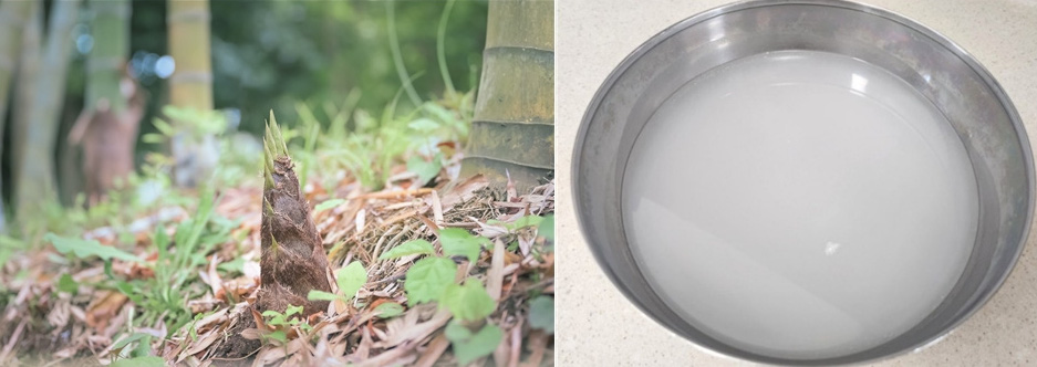 왼쪽 사진은 야생에서 크고 있는 대나무의 순인 죽순을 확대하여 찍은 사진이고, 오른쪽 사진은 쌀을 씻고 남은 쌀뜨물을 양은 그릇에 담아놓고 찍은 사진