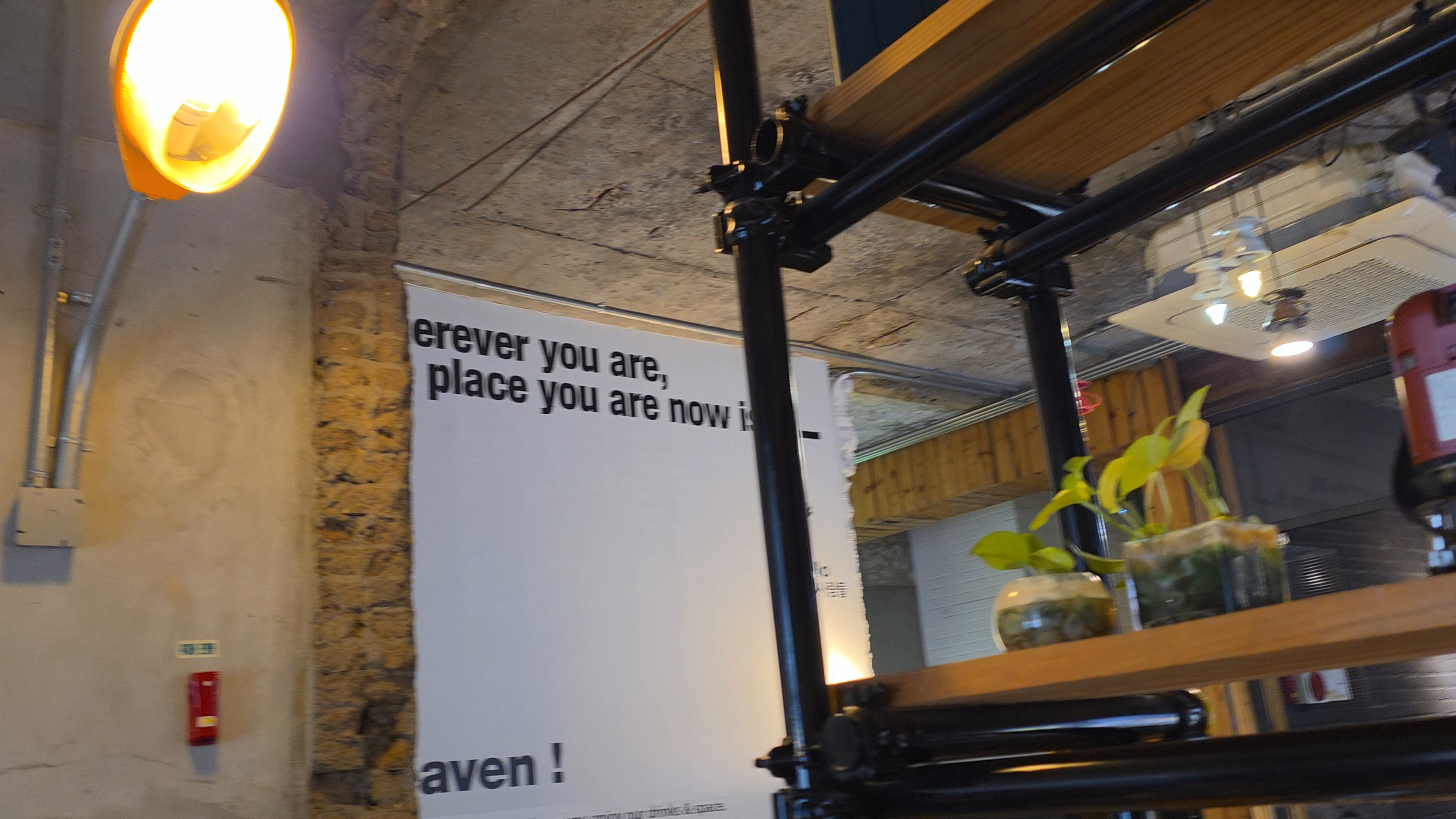 반려견과 함께한 친화적인 스페이스530 카페 방문기