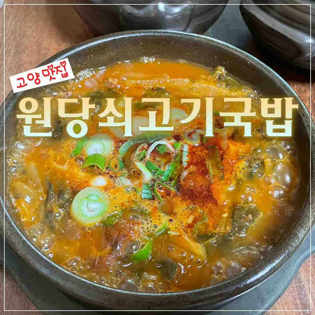 고양시 맛집 국밥 맛집