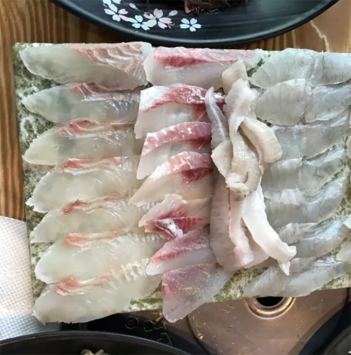 9월초 벵에돔 회 맛이 있나요
