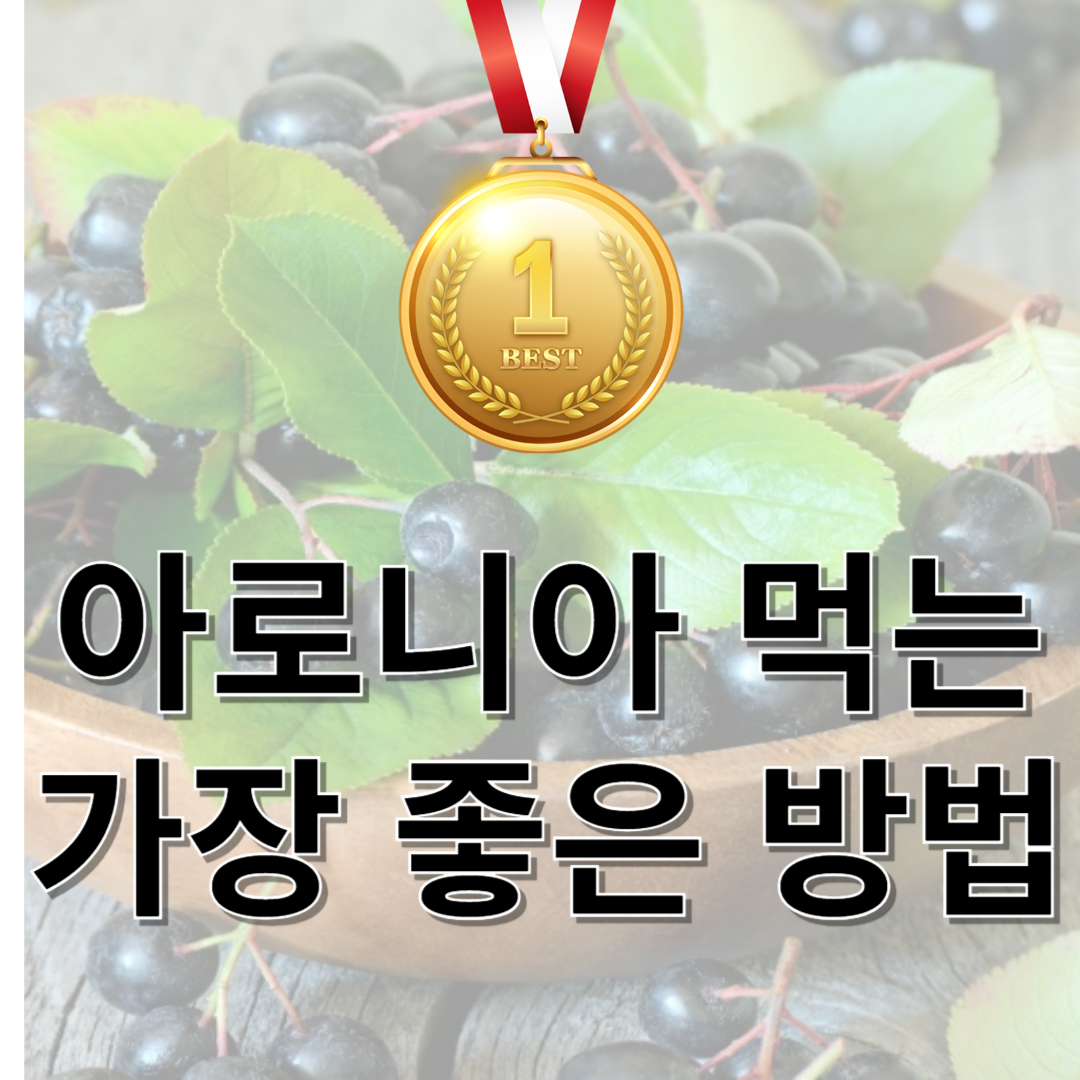 아로니아와 관련된 사진입니다.