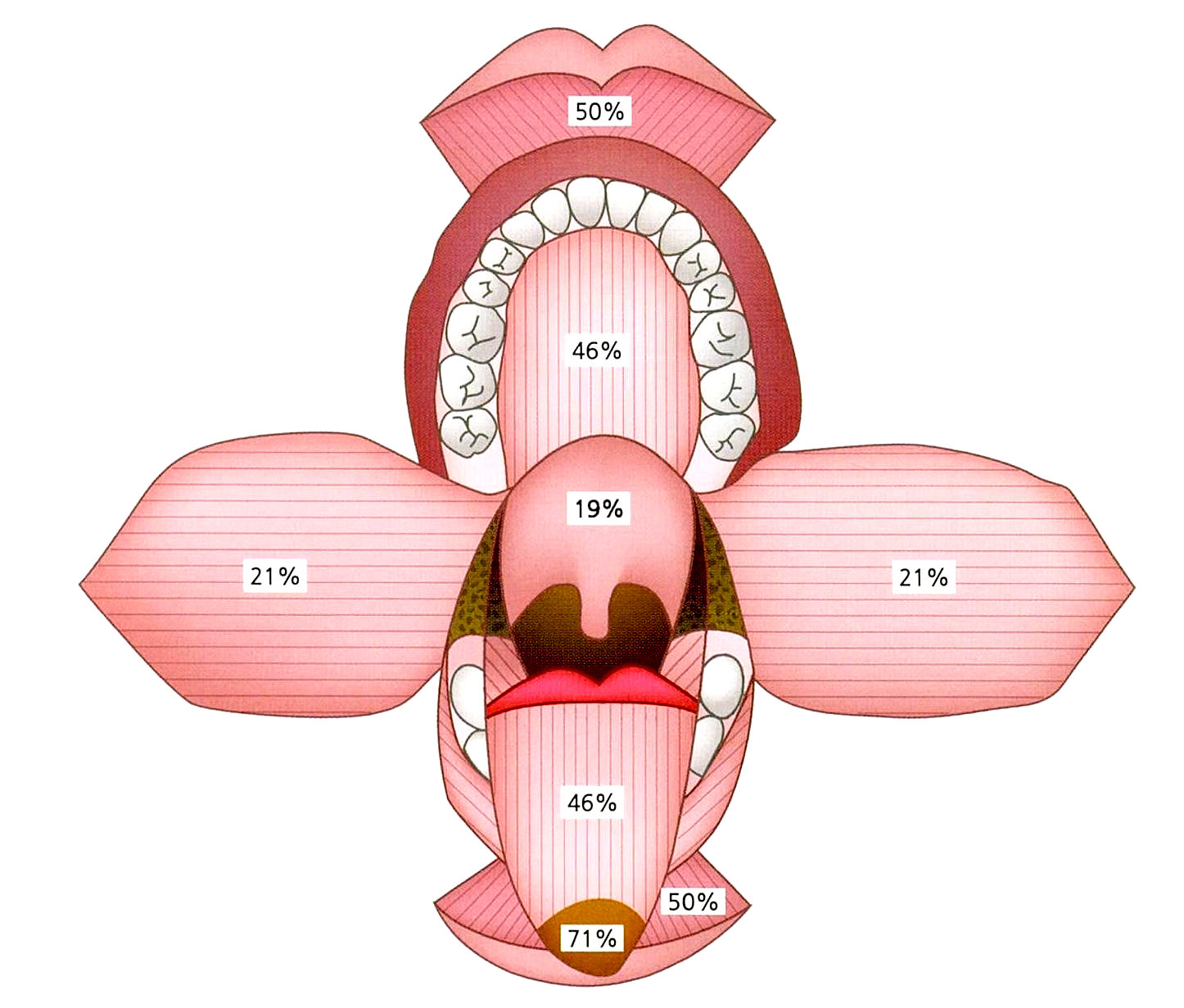 구강작열감증후군이 구강 내에 나타나는 빈도