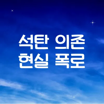 한국이 석탄에 미친 이유