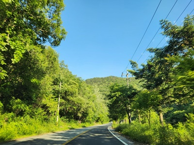 보발재숲