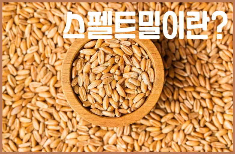 스펠트밀