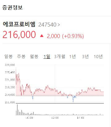 에코프로비엠 주가 전망