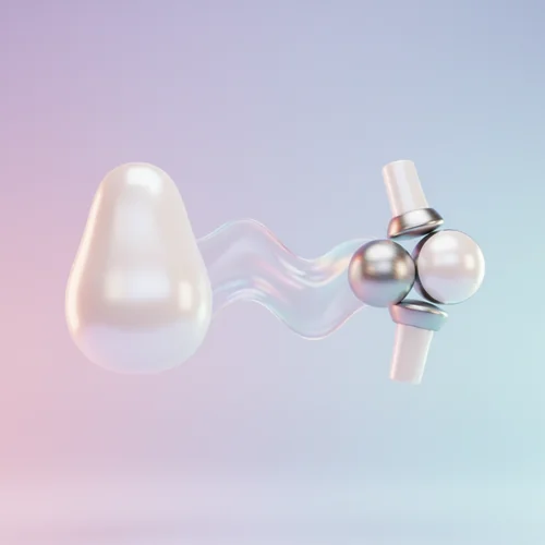 피부&amp;#44; 관절에도 난각막이 필요해요!