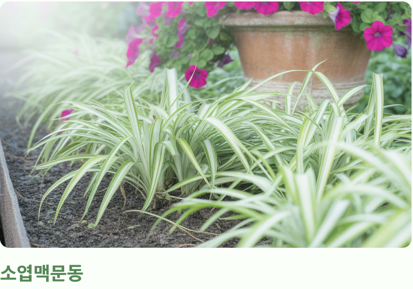 번식 속도와 가격, 현실적인 고려