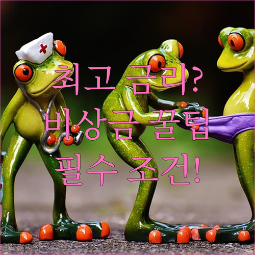 최고 이자율 비상금 통장 선택법 및 ..