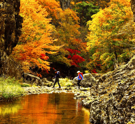 단풍여행 단풍트레킹 당일버스 여행