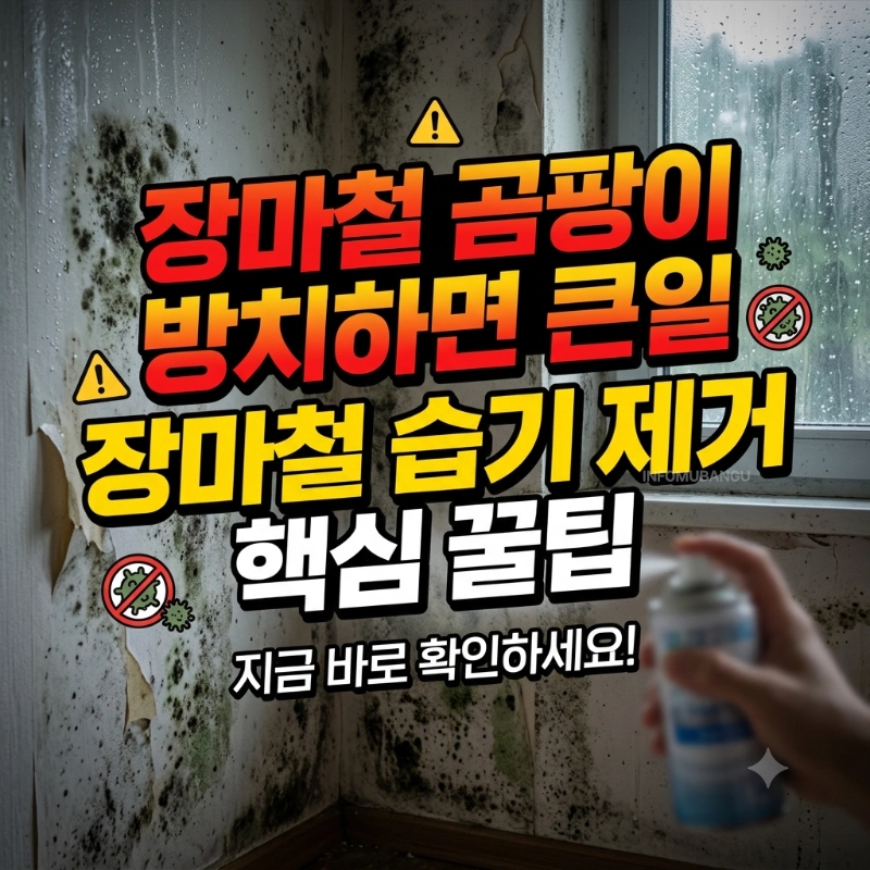 장마철 곰팡이 번식 막는 법