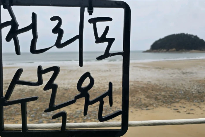 천리포수목원-생방송오늘저녁