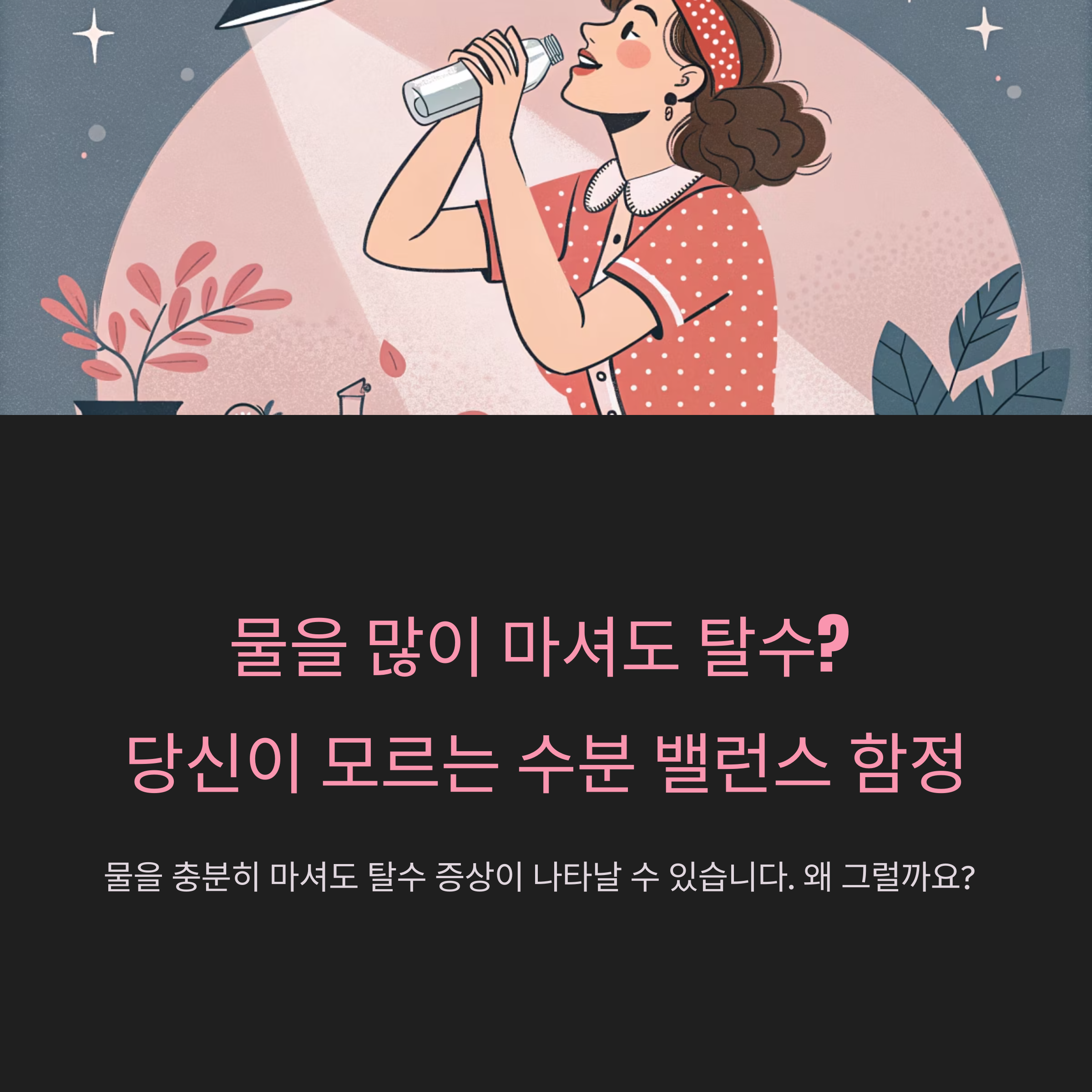 수분 밸런스