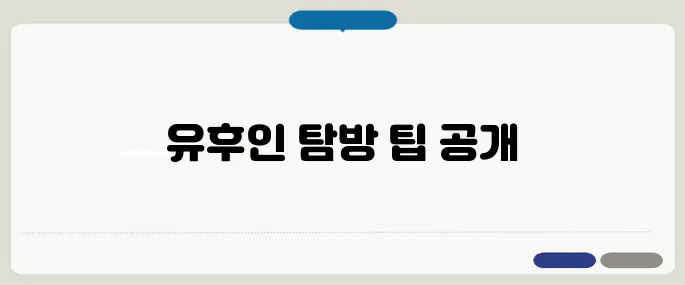 유후인 사용법 한눈에 보기 좋게