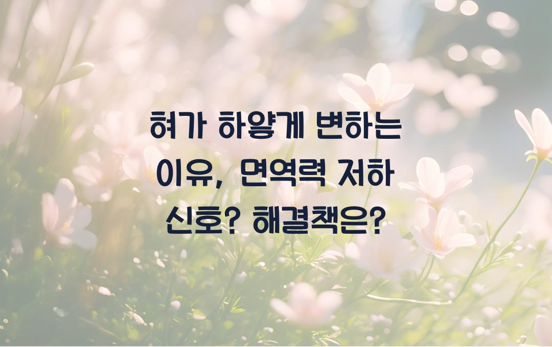 혀가 하얗게 변하는 이유, 면역력 저하 신호일까? 해결책 정리!