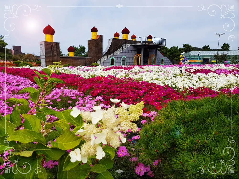 [당일치기 추천] 태안 가을꽃박람회 코리아플라워파크 행사정보 및 주차장 안내