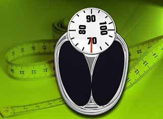 송이버섯 효능 다이어트