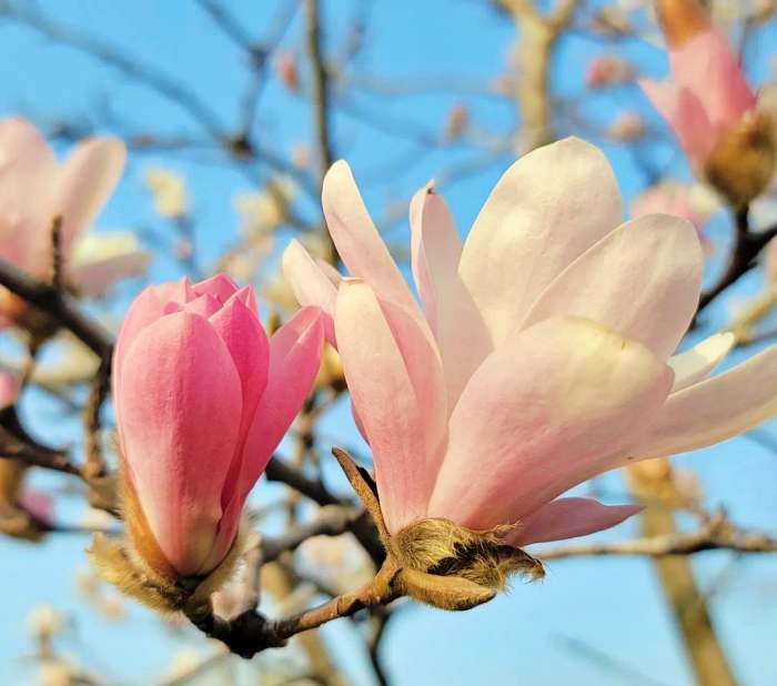 생방송 오늘 저녁 제주 쇠소깍 차콩 크림 라떼 맛집