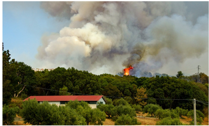 의성 산불 현황 3월
