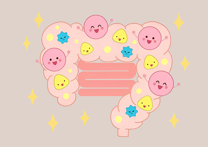 장-건강-개선과-변비-예방