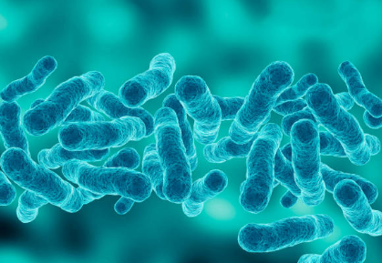 아데노 바이러스