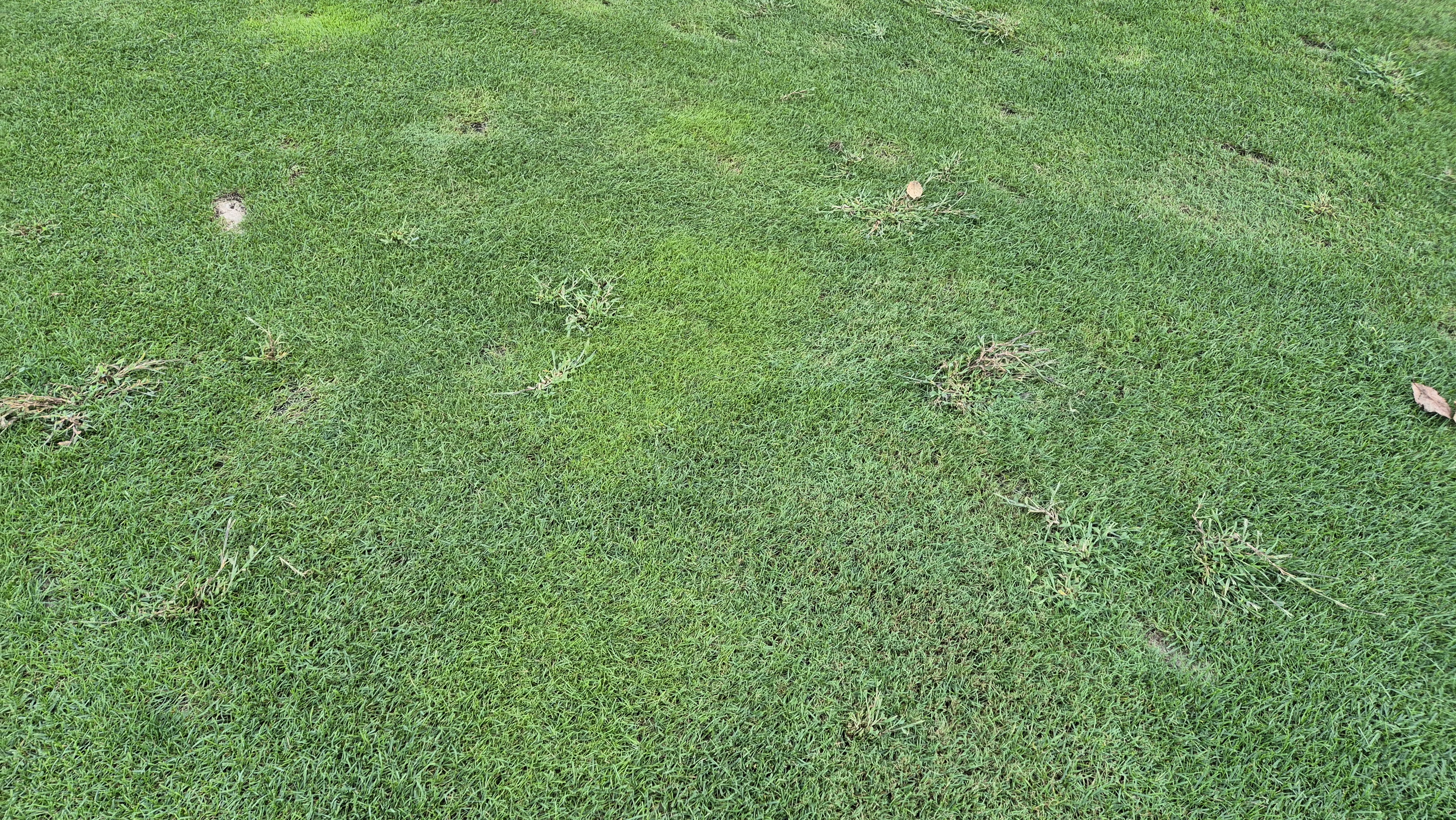 마론cc 라운드 후기