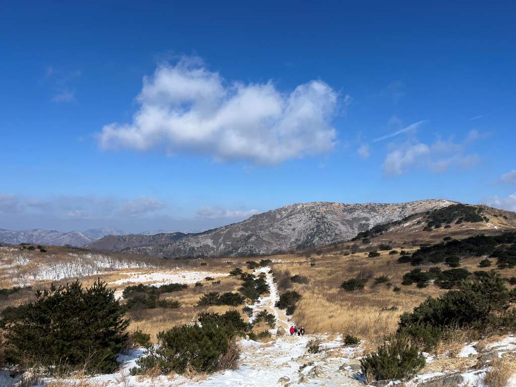 신불재, 신불산으로 가는 길 전경