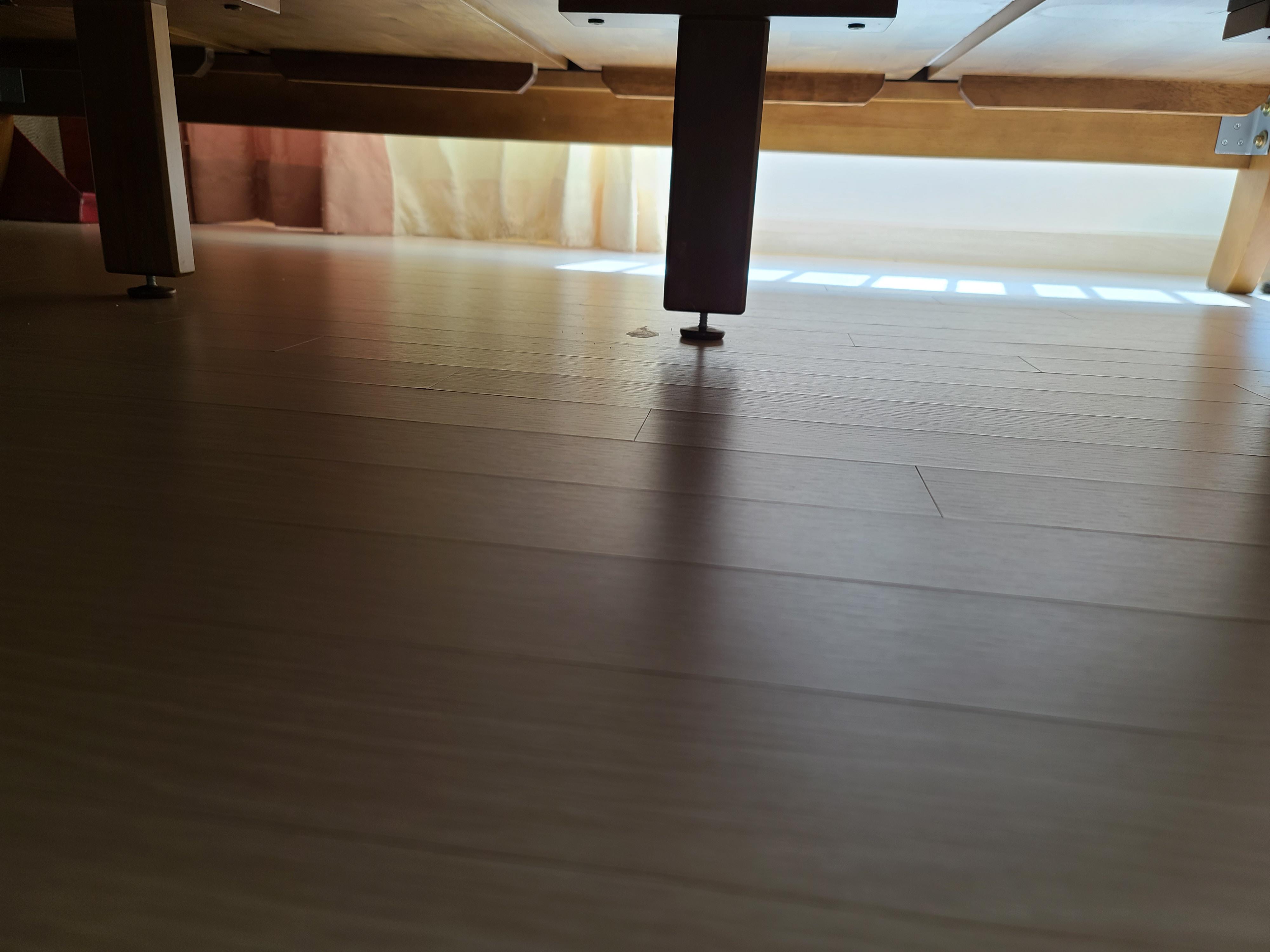 9냥이 집사의 눈뜨면 하는 일들.