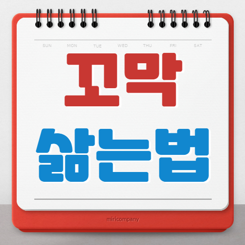 꼬막 삶는법과 해감하는 방법