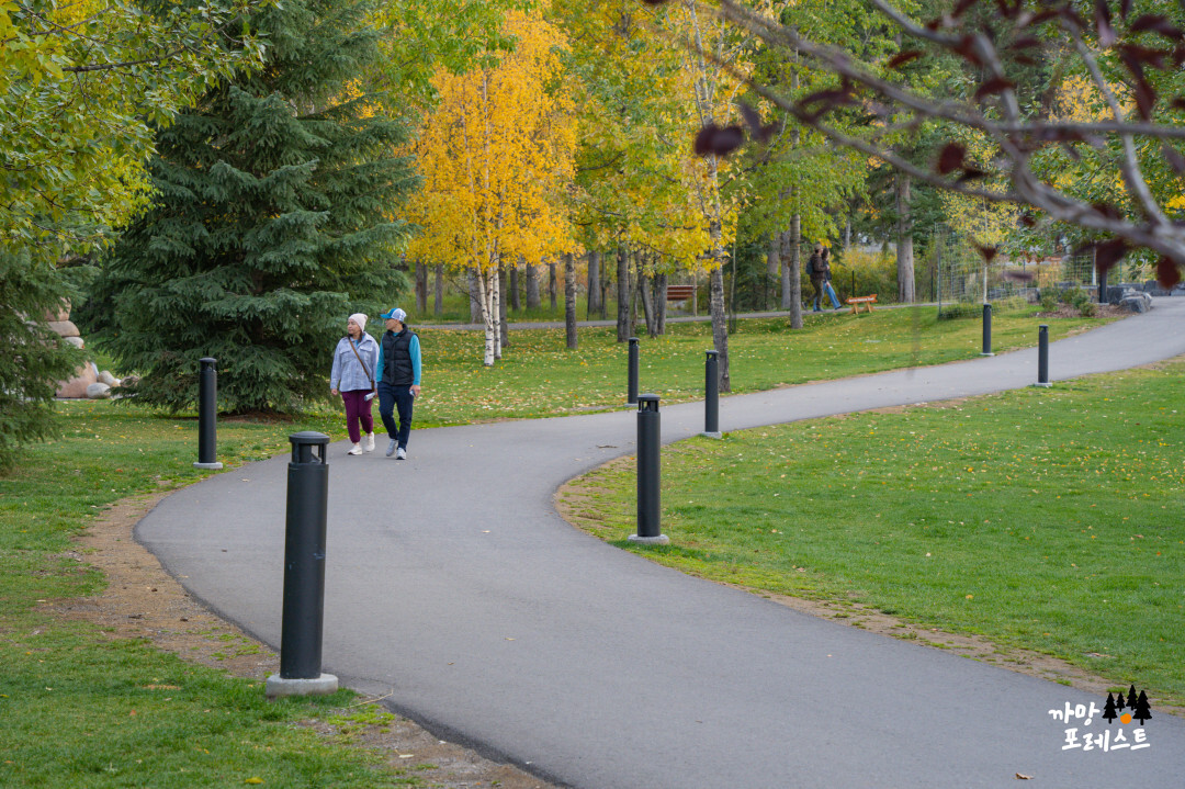 밴프 공원 산책