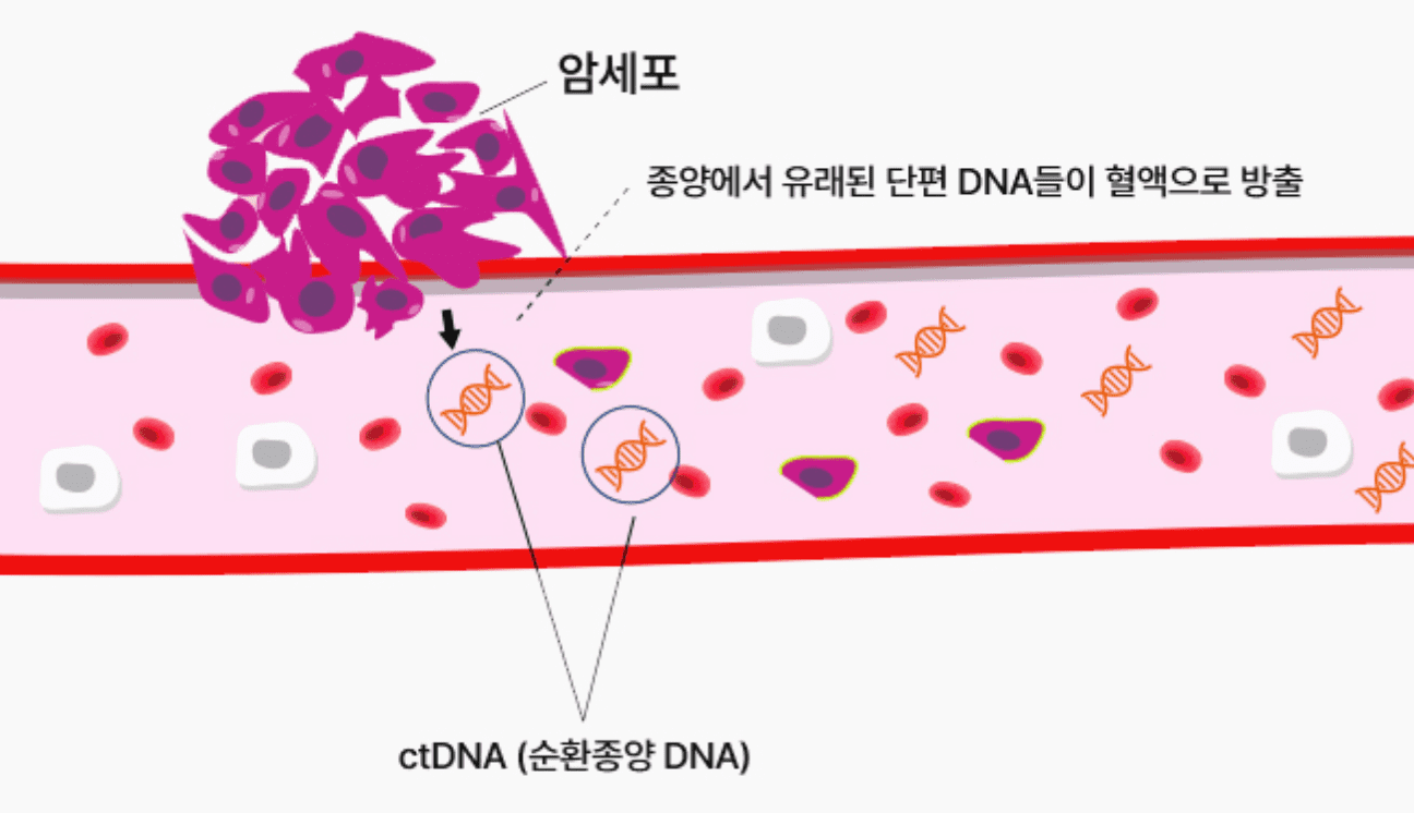 엔젠바이오 대응전략
