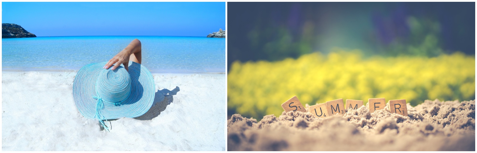 여름 사진들