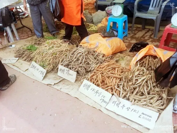 6시내고향 충북 충주 겨울 칡 & 더덕 파는 곳 전국 택배 온라인 전화 주문 추천