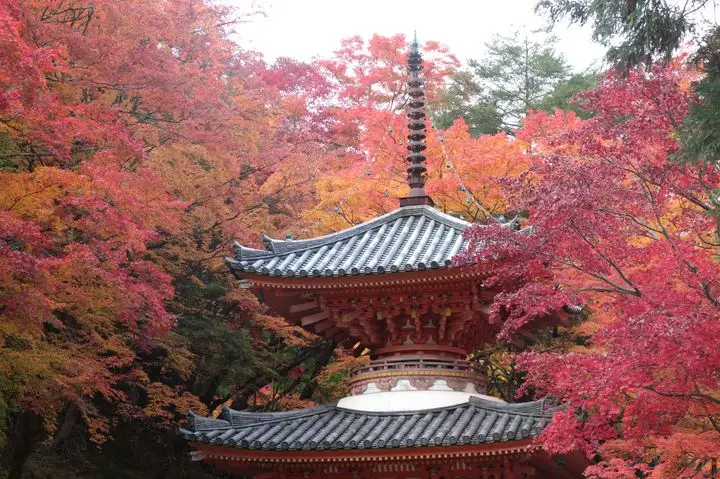 우시타키산 (牛滝山)