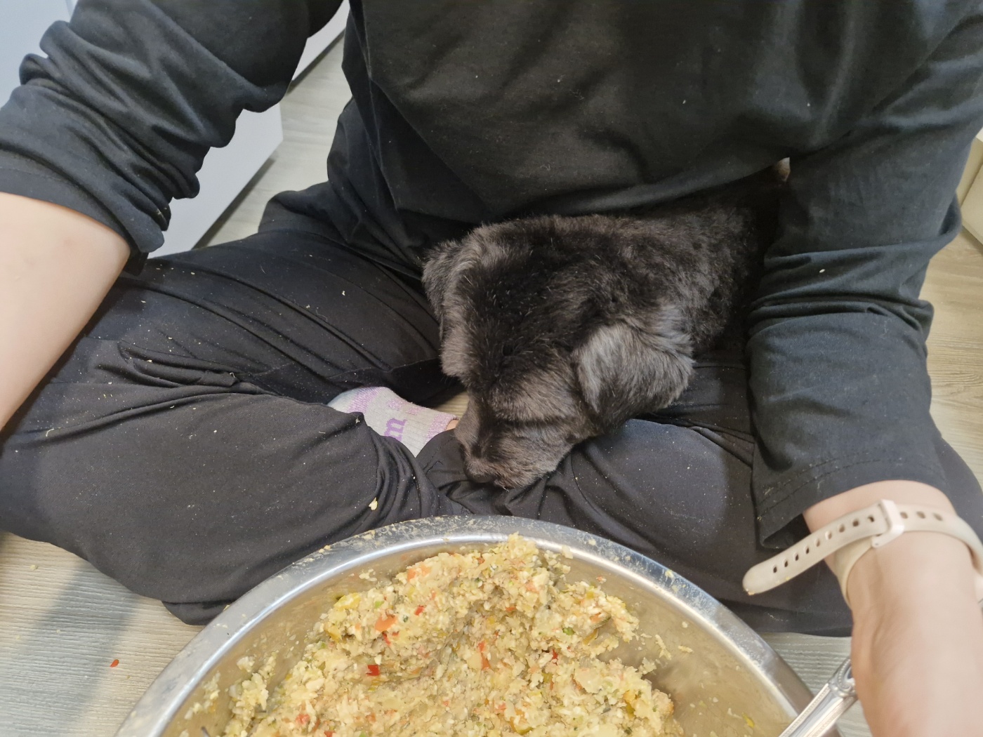 수의사가 알려준 강아지 발톱깎기,귀청소,항문낭 관리법