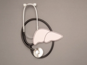 간이 하는일&amp;#44; 간질환 종류 증상&amp;#44; 간 건강을 지키는 방법