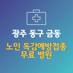 광주 동구 금동 노인 독감예방접종 무료 병원 (인플루엔자 무료 접종 대상 날짜)