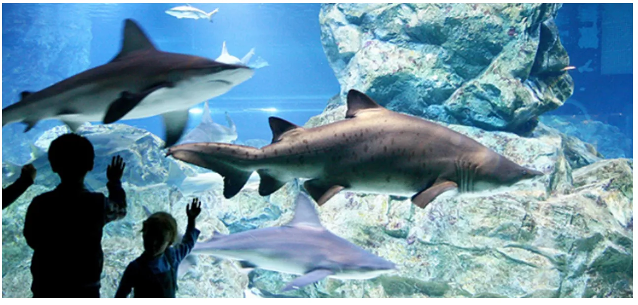 쿠팡트래블-쿠팡여행-쿠팡-여행-쿠팡와우