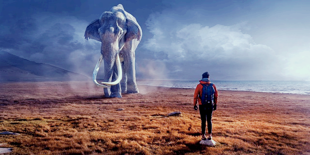 이빨 빠지는 꿈 해몽