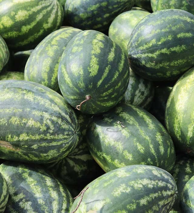 쌓여있는_수박들