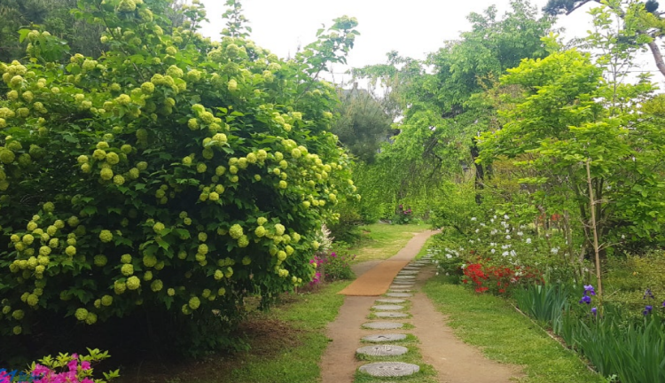 옥천 수생식물학습원