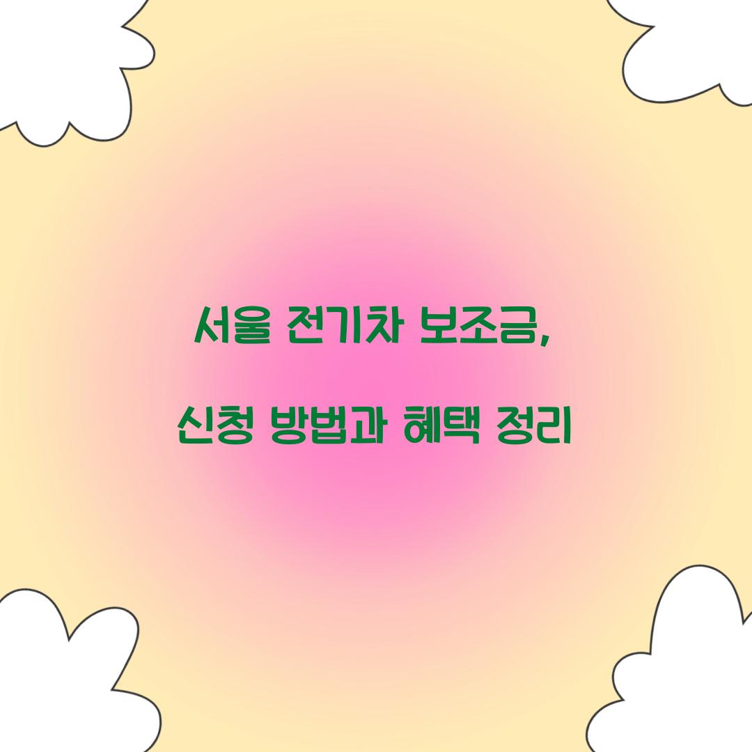 서울 전기차 보조금