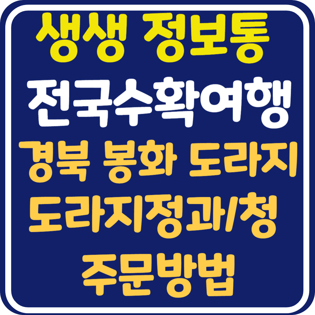 생생 정보통 경북 봉화 도라지정과 도라지청 주문방법