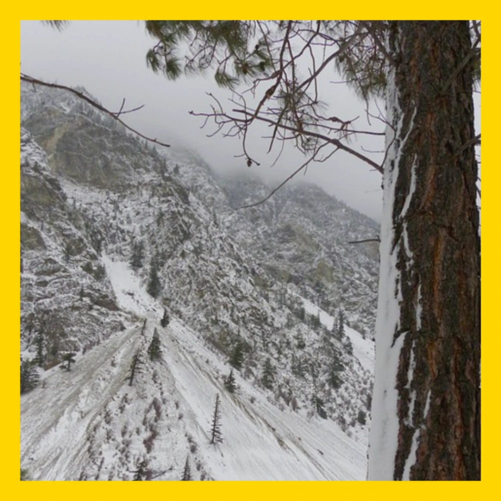 특별재난지역-선포-기준-혜택-선포지역