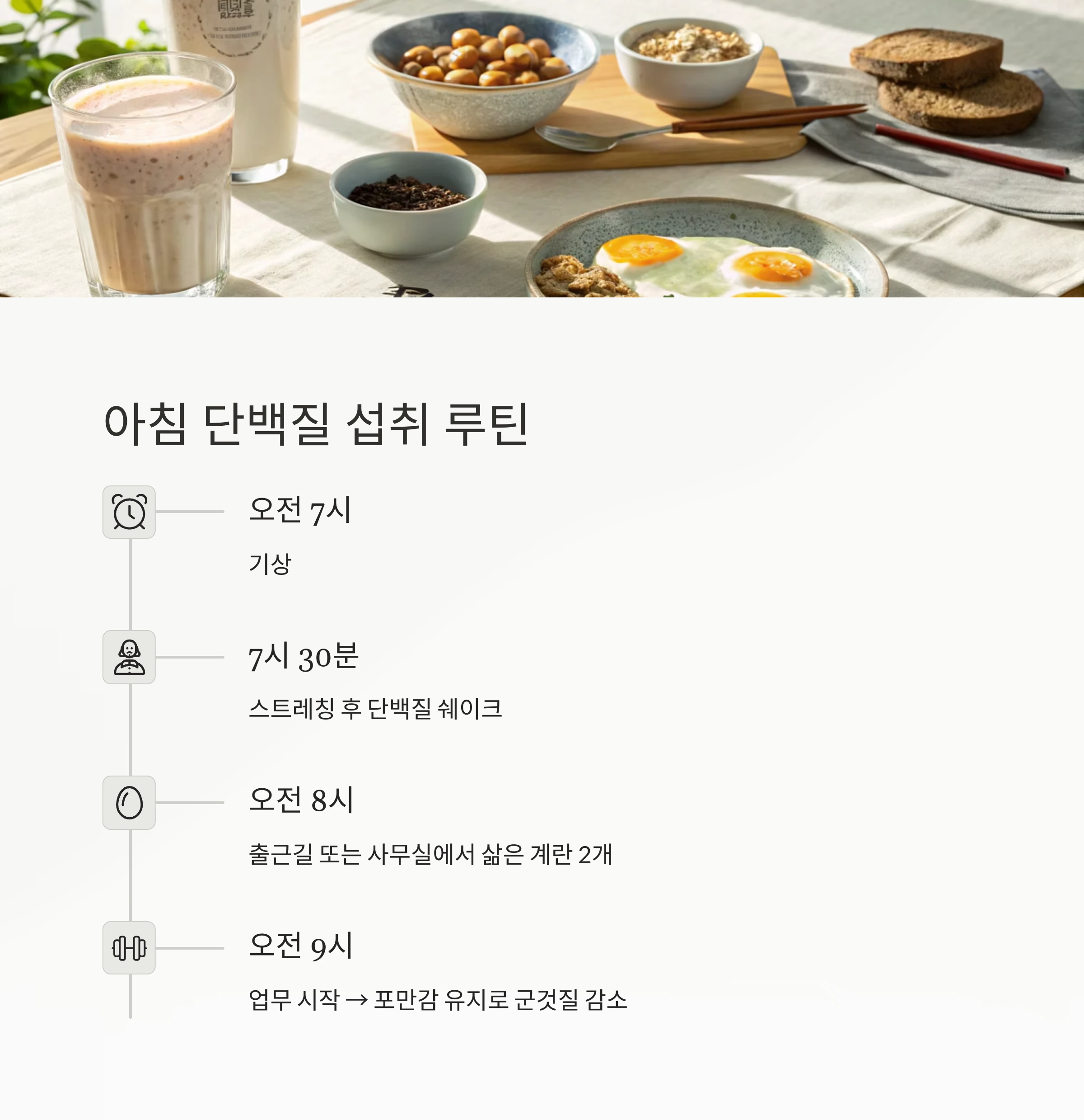 단백질 섭취 타이밍