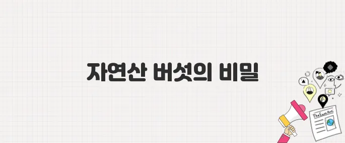 [백반기행] 정일우 보은밥상_자연산버섯전골 <구병산골가든> 맛집 정보
