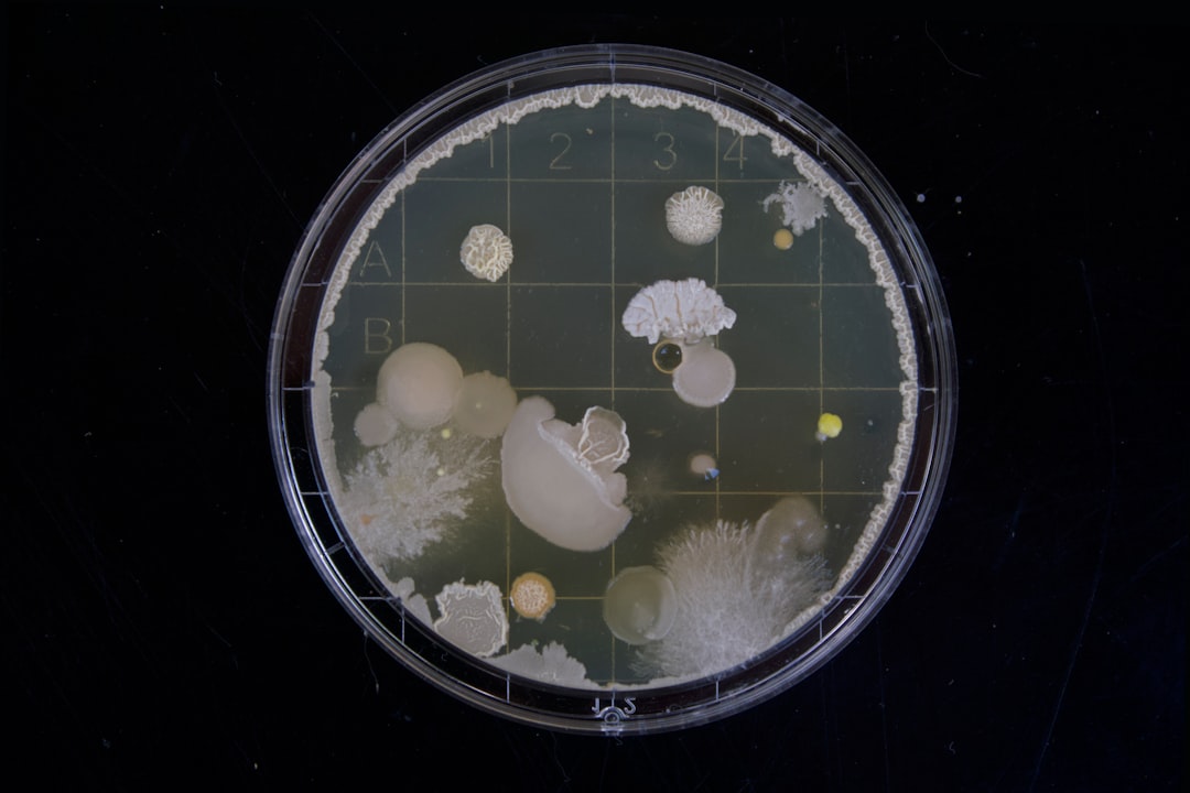 mold